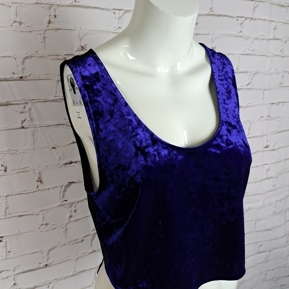 BAND of Gypsies Velvet Crop Top - Picture 4 of 10